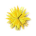 Haystack yellow organic wood wall clock - frontal view