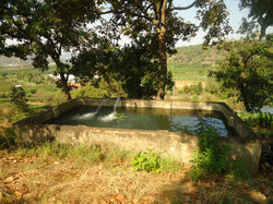 DSC00786
