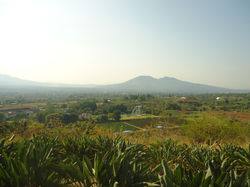 DSC00778