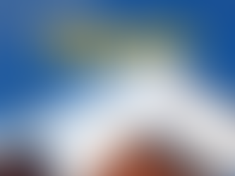 Toiture 3 Soumissions photo 9