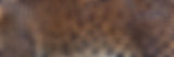1000_F_259030399_AMy5EFupEwZDStJ79TDuBiB2bVpAMR7M.jpg