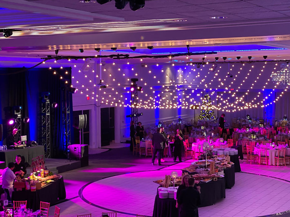 Private event entertainment with DJ and live performers at an upscale celebration