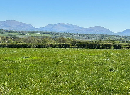 Image 1.jpg