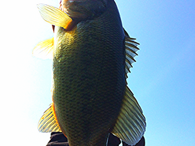 16’ 野池2 フロートボート釣行