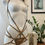 Miniature : Tiger Print Versatile Vixen Eugenius with Heart Shaped Eugie, Front View