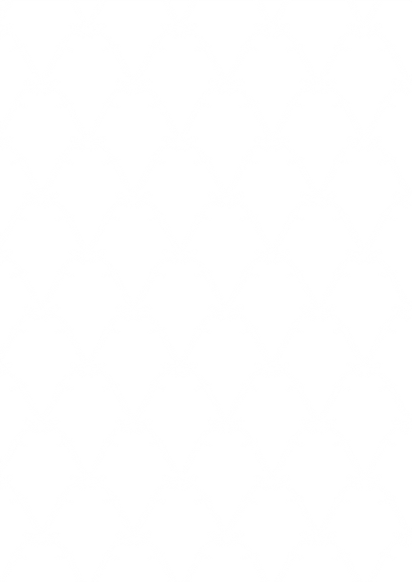 Pattern 1Asset 39.png