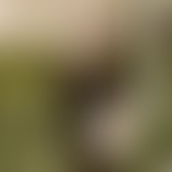 WHY INCLUDED EVENT COORDINATION MAKES FLORIANA A STRESS-FREE WEDDING VENUE