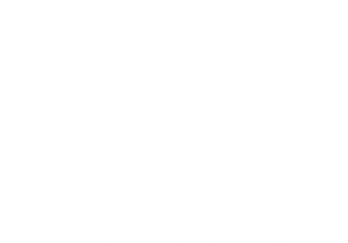 Innovative Product Partners 2022 Brandmark Logo WHITE.png