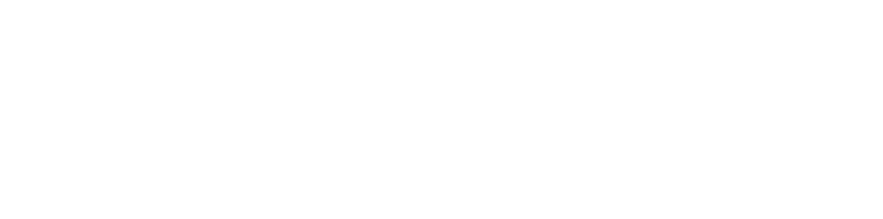 PL 2024 All White Logo.png