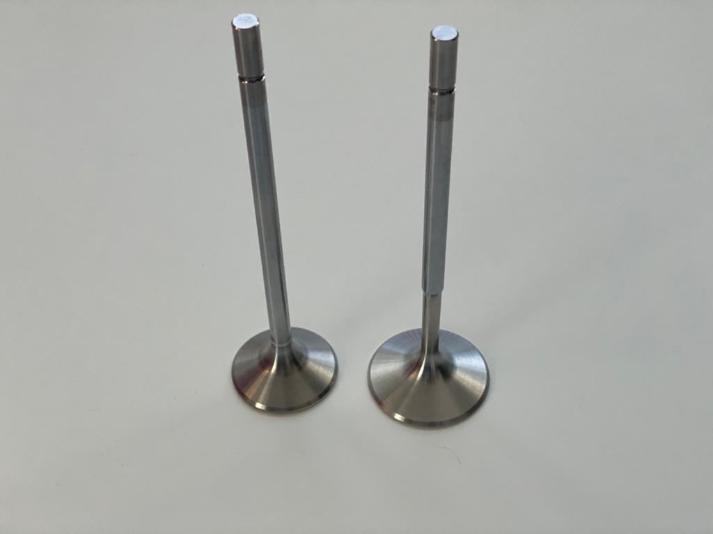 BMW Racing valves