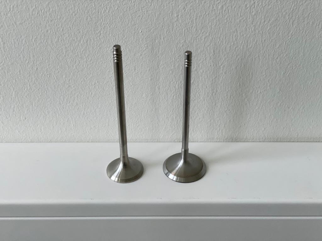 BMW Std valves