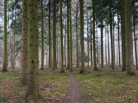 Off The Beaten Path