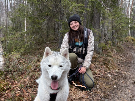 A Week in Finland
