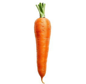Fresh carrot