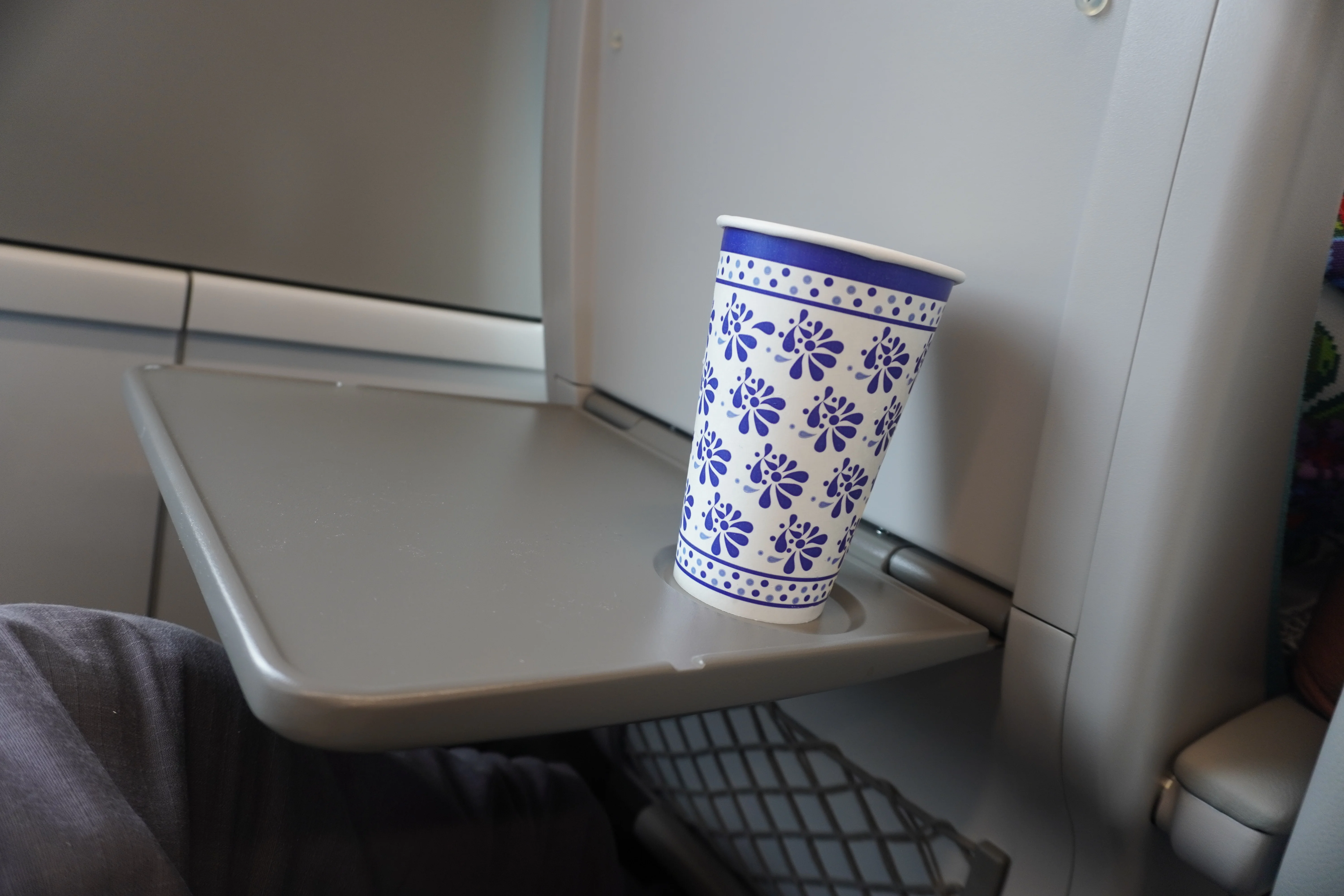 Tren Maya Onboard Amenities