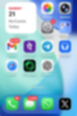 iPhone touchscreen not responding