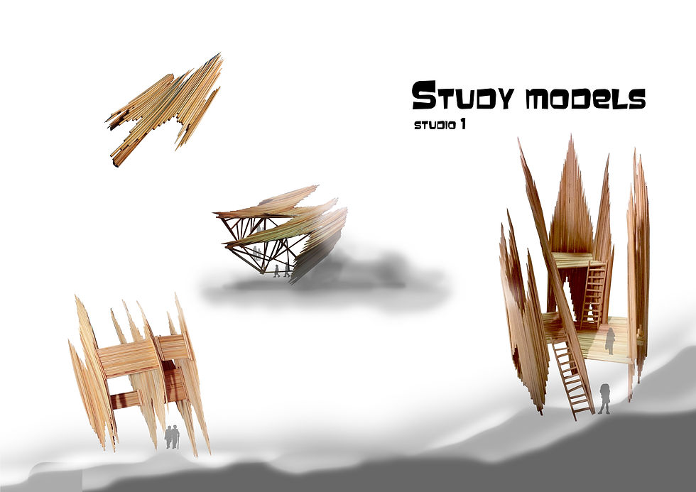 study models