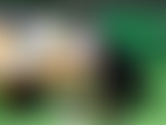 Holger Rune sufre gravísima lesión en semifinales del ATP de Estocolmo