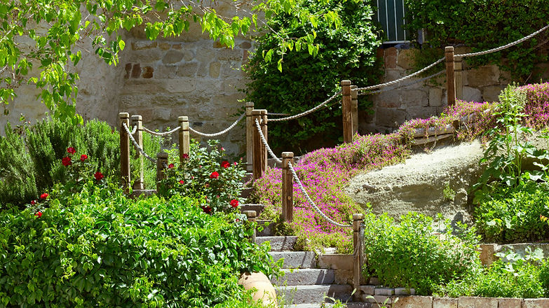 Un jardin aménagé avec différentes zones de cultures.