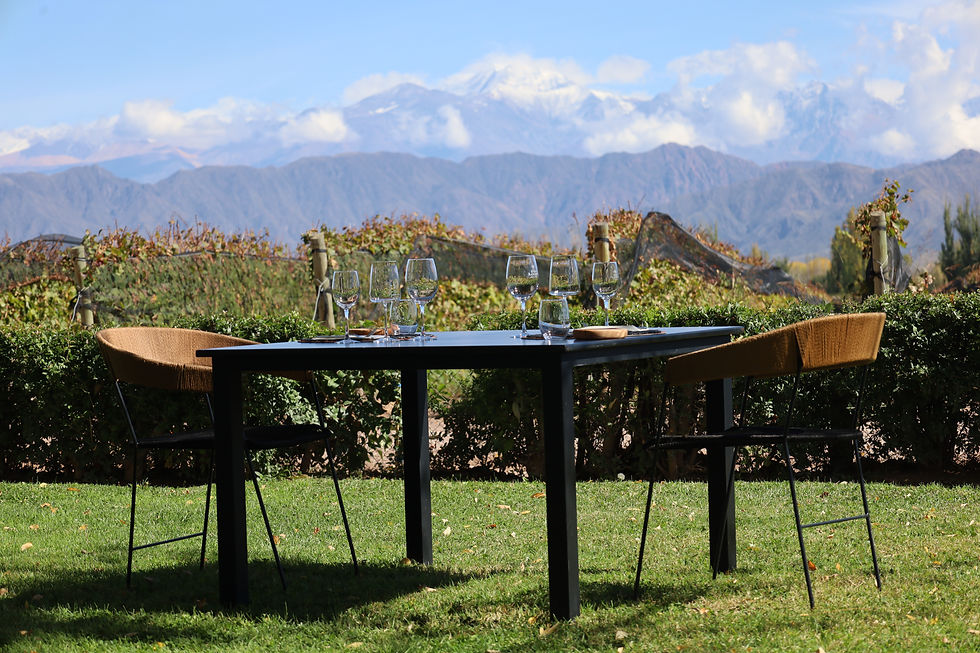 Finca Bandini