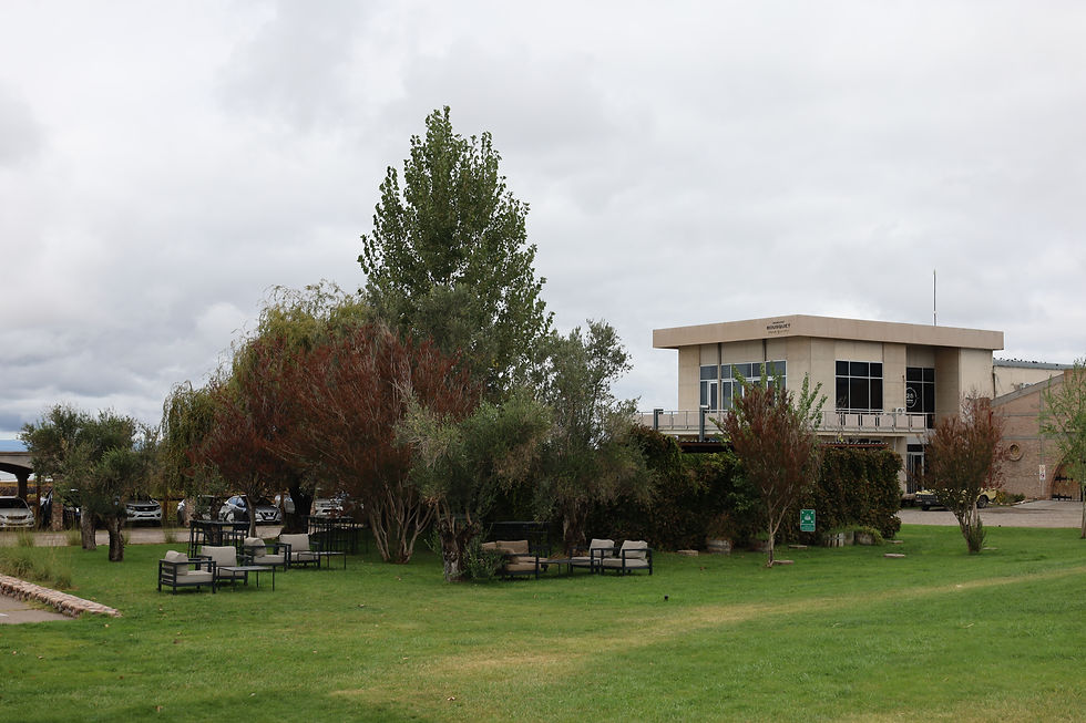 Vinicola Domaine Bousquet