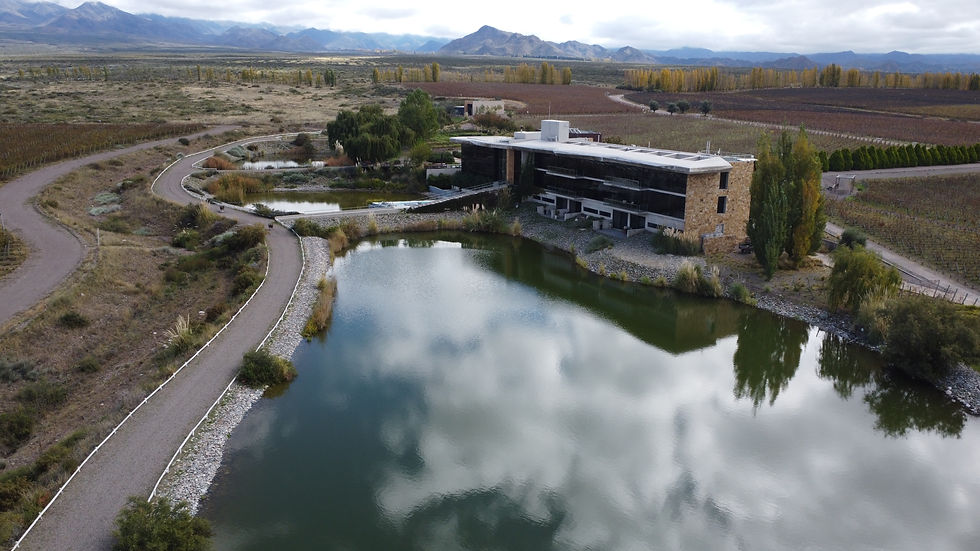 Casa de Uco Vineyards & Wine Resort