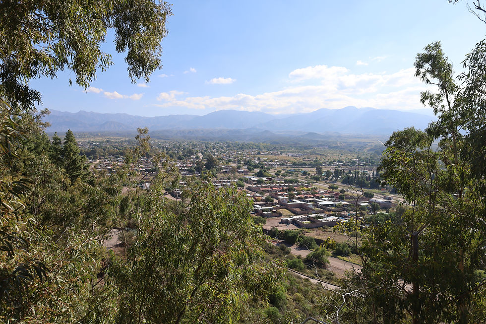 arborização da cidade de Mendoza vista do alto