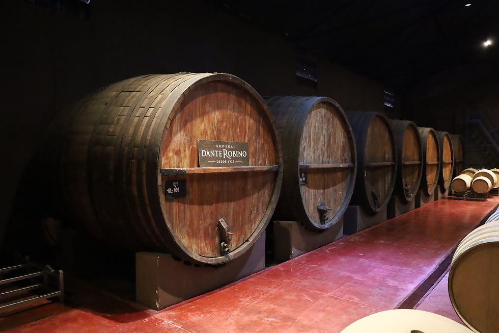 Bodega Dante Robino