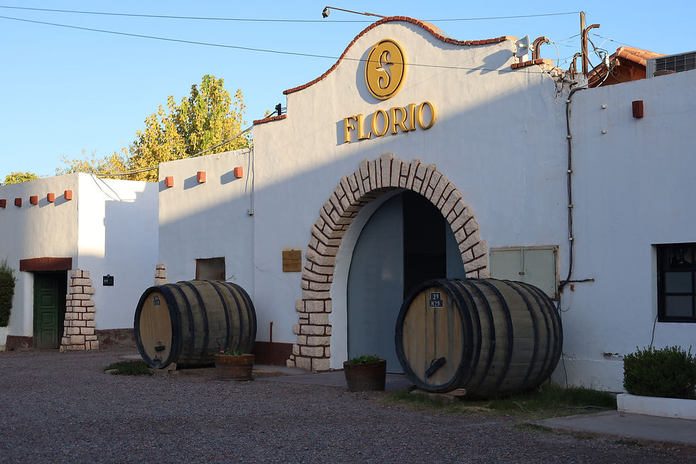 Bodega Florio