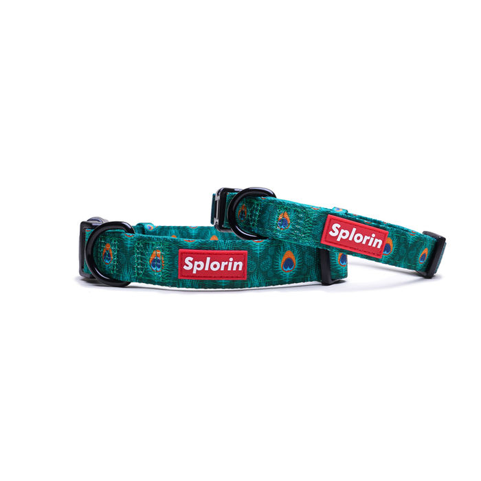 Green Splorin pet collars, peacock feather pattern