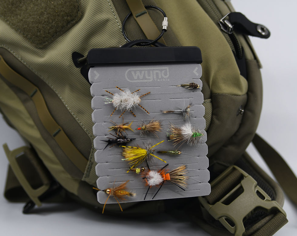 Fly-D-Card Rigged