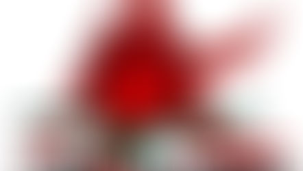 【夏合宿 vs愛知学院大学】