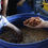 Thumbnail: 'GUAVA BANANA' Distinctive flagship coffee