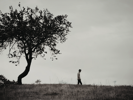 a tree and a person walking