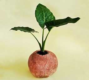 WhatsApp Image 2021-11-17 at 4.22.53 PM.jpeg