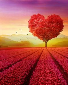 <strong>Your heart determines the course of your life.</strong>