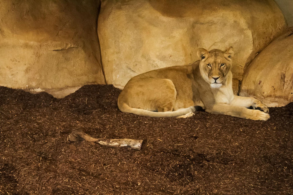 328290892_735833787817524_2342967159612145773_n