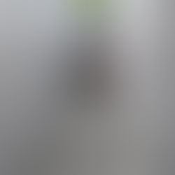 השפעות העבר הארגוני על הקורה בהווה