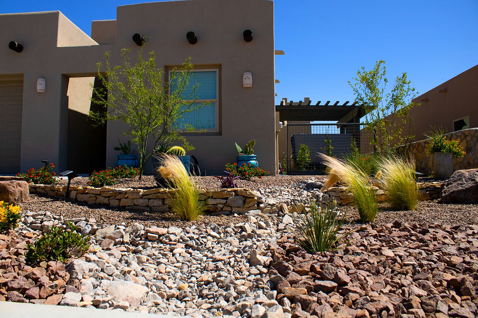 Xeriscape landscaping with gravel, desert plants, and low-water design in New Mexico