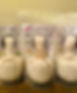 IMG-1511_edited.jpg