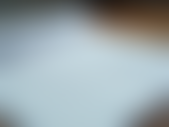 How to Expedite Apostille Services