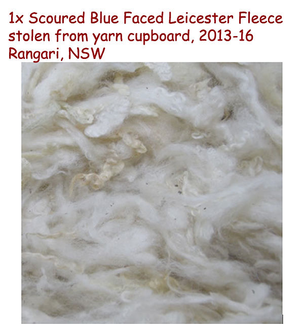 100g Scoured Blue Faced Leicester Fleece STOLEN.jpg