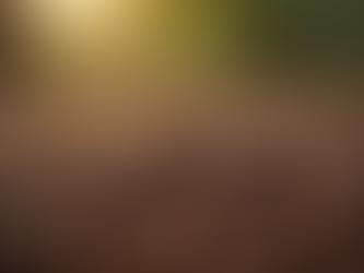 Grãos de café Jacu torrados artesanalmente, evidenciando sua textura e cor