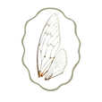 F.png