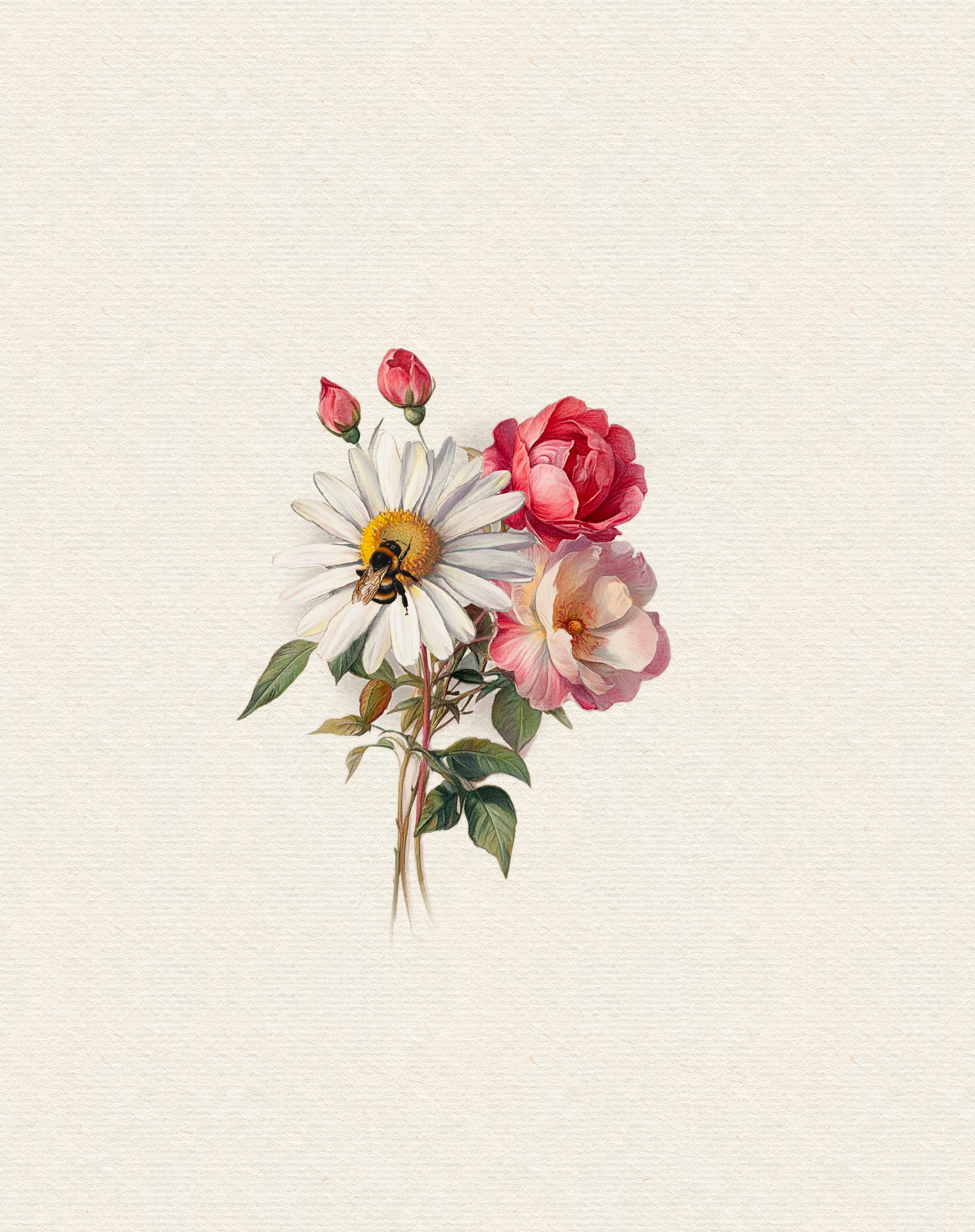 Roses & Daisy - Design Deposit