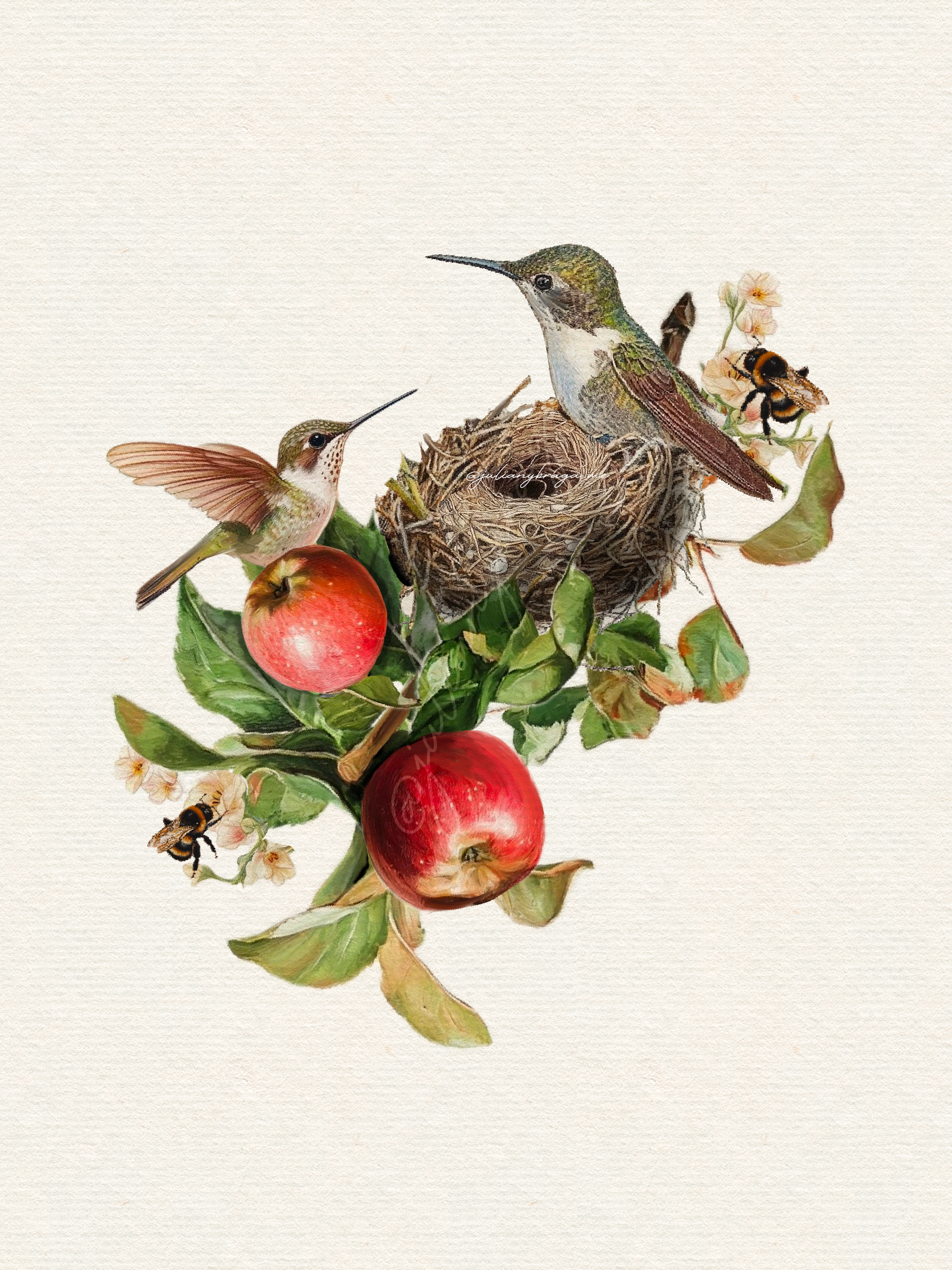 Hummingbird's Nest - Design Deposit