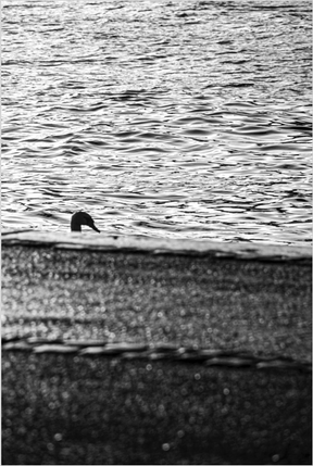 emmanuel teitgen, photographe, photos, peintures, design graphique, emmanuelteitgen.art