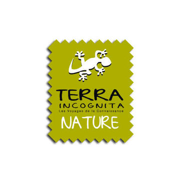 Emmanuel teitgen, graphiste, directeur artistique, directeur de création, infographiste, photographe, communication graphique, graphisme, design graphique, direction artistique, graphiste, direction de création, freelance, infographiste, peinture, photos, emmanuel teitgen, artiste comptemporain, artiste