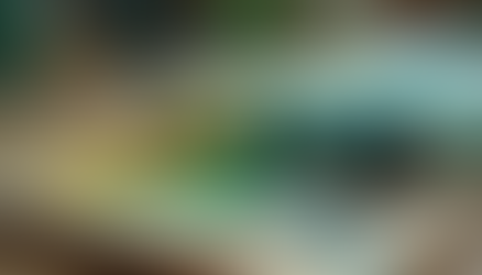 ☘️ Guide to Green Paints for Artists: Best Greens and Mixing Techniques