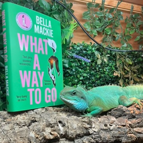 Four Funny Favourites